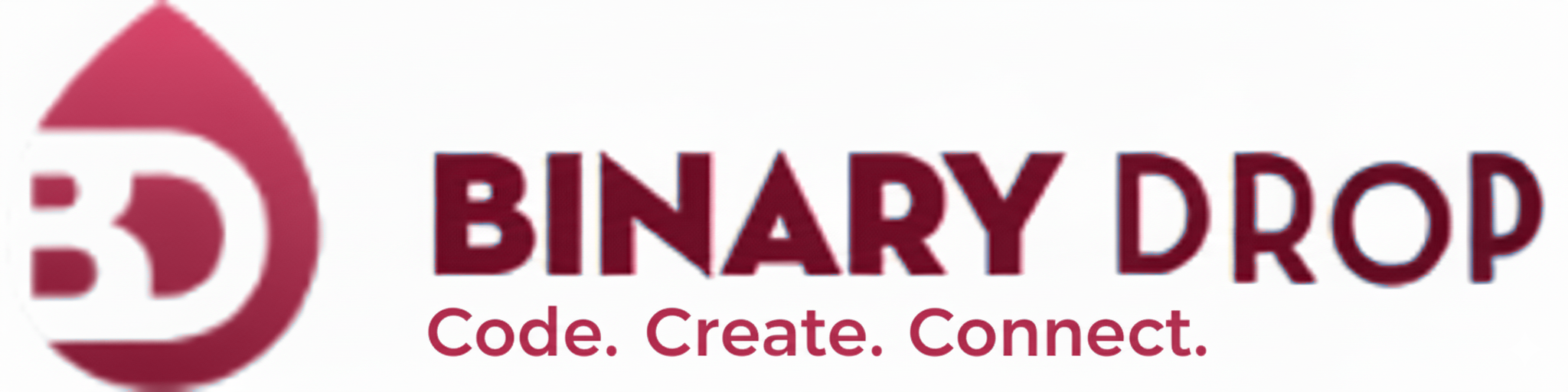 BinaryDrop logo